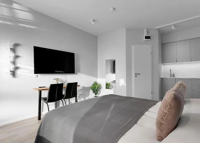Cozy Studio In Reykjavik